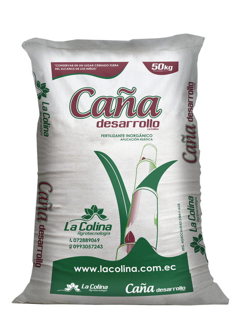 CAÑA DESARROLLO