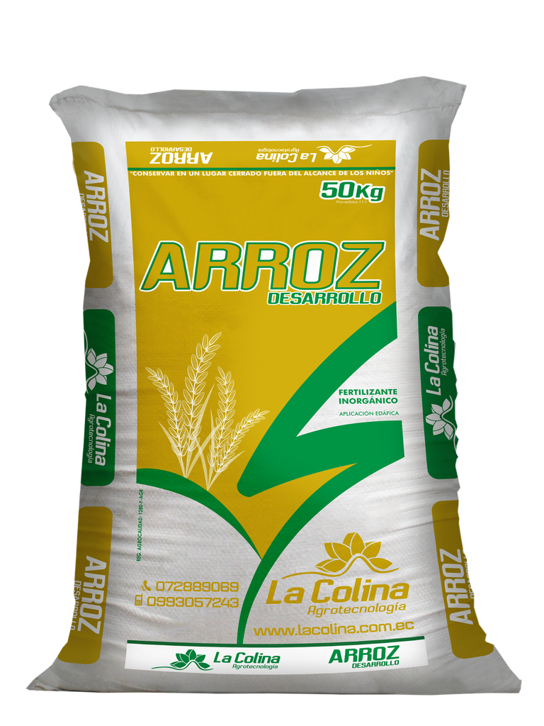 ARROZ DESARROLLO