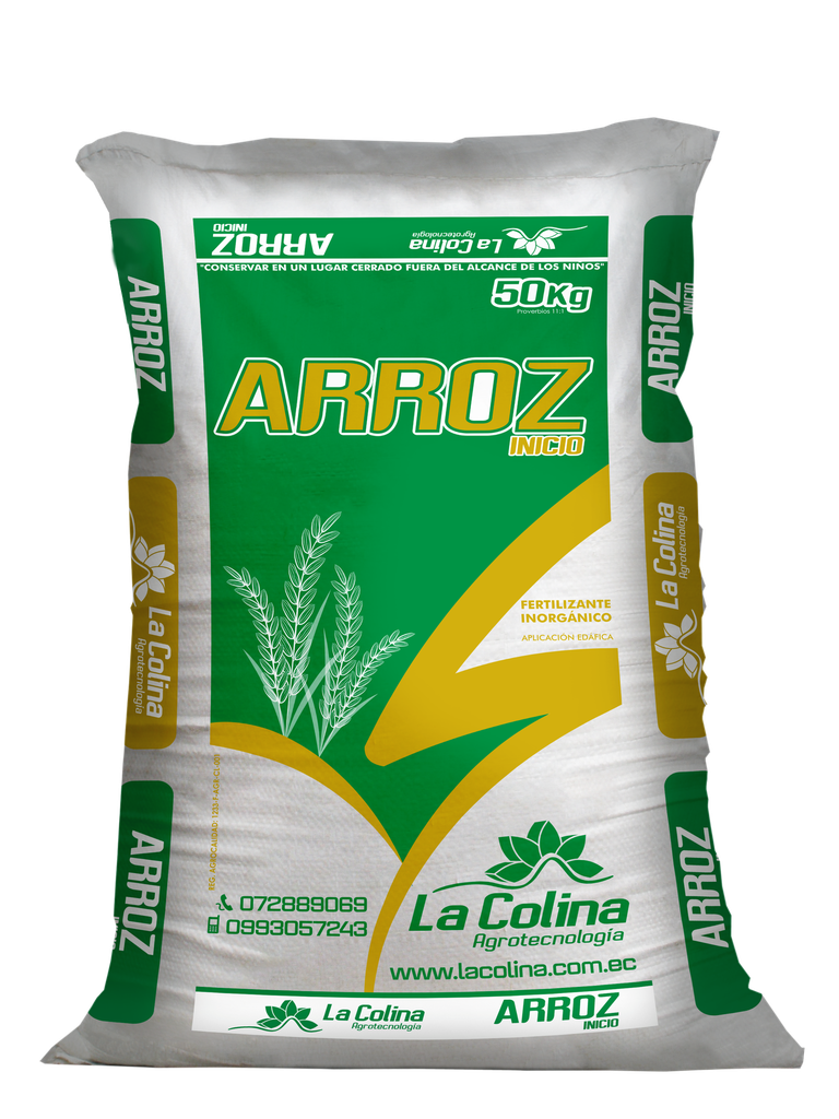 ARROZ INICIO
