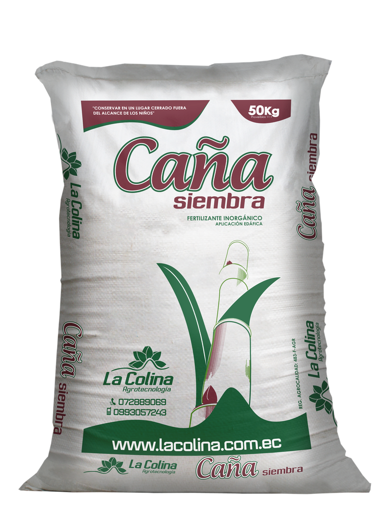 CAÑA SIEMBRA