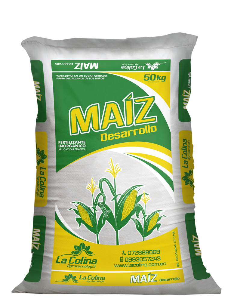 MAÍZ DESARROLLO