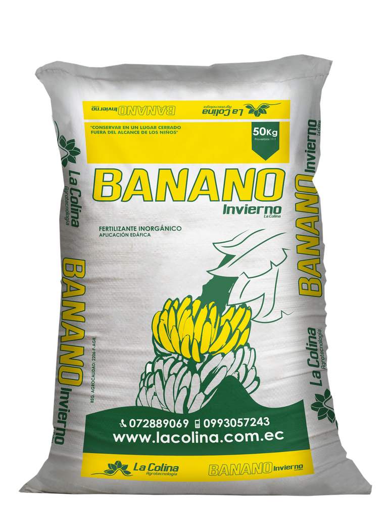BANANO INVIERNO