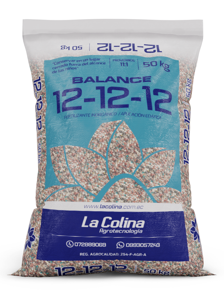 BALANCE 12-12-12