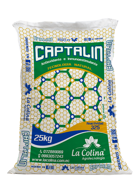 CAPTALIN  (PORCINOS)